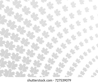 Pattern of maple leaves. Gray. Vector Illustration.
