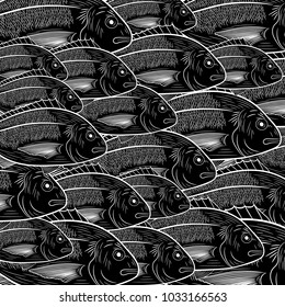 Pattern of marine fish Dorado.   Painted flock of fish in black and white. Sketch, vector illustration