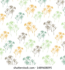 pattern. meadow flowers. botanical plants.