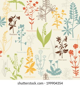 pattern with medicinal plants