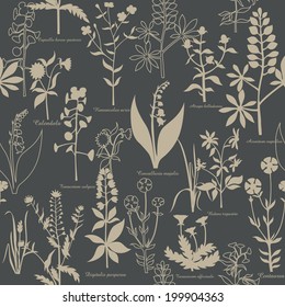 pattern with medicinal plants