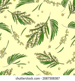 pattern of mimosa flowers and leaves spring