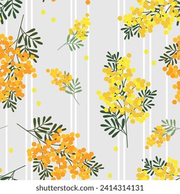 Muster von Mimosa-Blumen. Frühling. Urlaub. Schleifpapier. Postkarte. Gelbe Blumen. Botanischer Ausdruck. Vektorgrafik. Grauer Hintergrund. Stoff. Textil