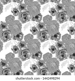 Pattern with monochrome poppies flower pattern for print design. Vintage monochrome seamless texture. Beauty style. Trendy decor. Vector art.
