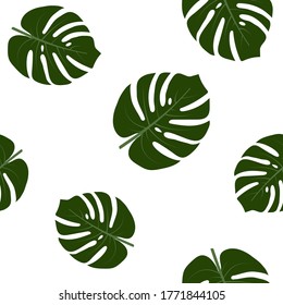 pattern with monstera leaves on a white background, color vector illustration, design, decoration