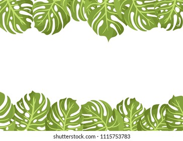 Pattern of monstera leaves, place for text, on white background