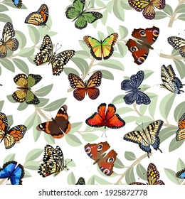 Pattern with multicolored butterflies.Multicolored butterflies on a background of leaves in a vector pattern.