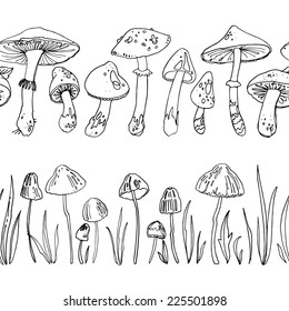 Pattern mushrooms, forest herbs, poisonous mushrooms. Vector elements, pattern isolated on white. Drawing a black line 