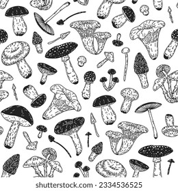 Pattern with mushrooms. Hand-drawn seamless vector with different forest mushrooms. 