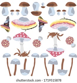 
Pattern. Mushrooms. Vector stock graphics