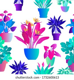 Patrón de plantas tropicales de neón y flores en macetas. Esbozo de color vectorial en un fondo blanco. Rosa ultravioleta, azul, turquesa. 