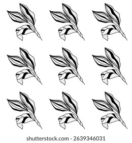 Pattern New Design Black And White