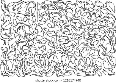 pattern of numerous rats with tails on a white background