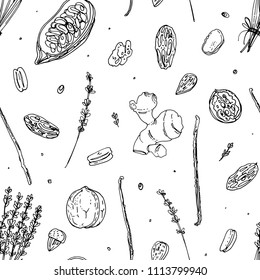 Pattern Nuts and spices line drawn on a white background. Sketch of food. Walnut, cocoa beans, vanilla, Gorica, almonds, hazelnuts, peanuts, anise