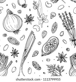 Pattern Nuts and spices line drawn on a white background. Sketch of food. Walnut, cocoa beans, vanilla, Gorica, almonds, hazelnuts, peanuts, anise