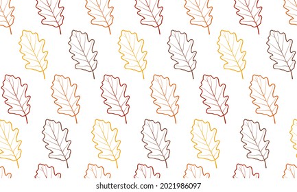Pattern with oak leaves fall. Autumn colors seamless vector pattern design on transparent background.