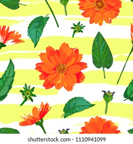 Pattern of orange flowers. Seamless background with chrysanthemums and leaves on yellow with white strips. Design for prints, textile. Vector illustration