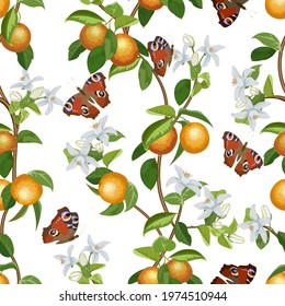 Pattern with oranges and butterflies.Oranges and butterflies on a white background in a vector pattern.