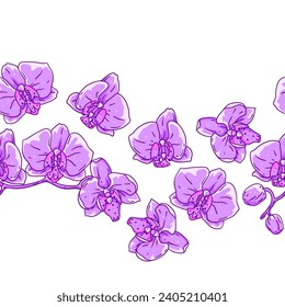 Muster mit orchiden Blumen. Schöne dekorative Pflanzen.