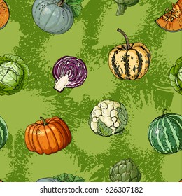 The pattern of painted colored vegetables line drawn on a white background. Skertch autumn harvest. Fresh food. Pumpkins