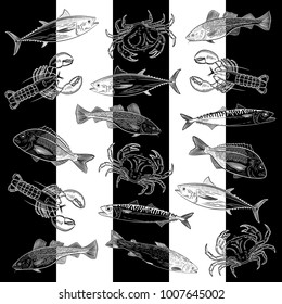 Pattern of painted popular sea fish and crab,lobster. Salmon, tuna, cod, mackerel, dorado,lobster, crab. The objects are located chaotically on a black and white background. Vector illustration
