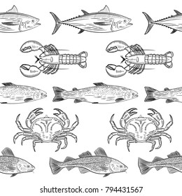 Pattern of painted popular sea fish and crab,lobster. Salmon, tuna, cod, mackerel, dorado,lobster, crab. Sketch of drawing on white background, vector illustration