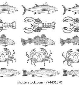 Pattern of painted popular sea fish and crab,lobster. Salmon, tuna, cod, mackerel, dorado,lobster, crab. 
Objects are located in parallel. Sketch of drawing on white background, vector illustration