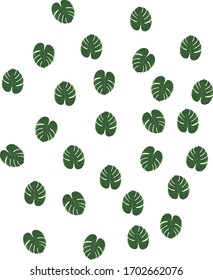 Pattern palm leaves monstera jungle