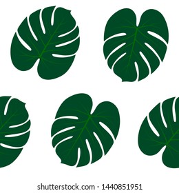 Pattern with palm leaves on a white background