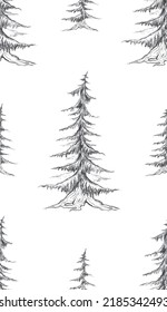 Pattern with pencil sketch fir trees on a white background. Natural texture with pines. Rustic forest background.