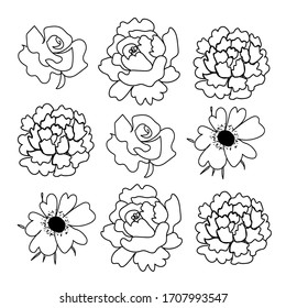 Pattern with peonies, roses and anemones. The botanical print doodle is black on a white isolated background. Design for coloring, cards, packaging, web,social networks.