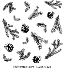 Pattern with pine brunches and cones. Hand drawn vector