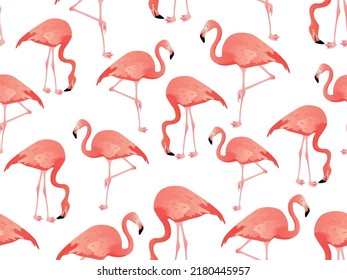 Pattern of pink flamingo on a white background. Vector illustration.