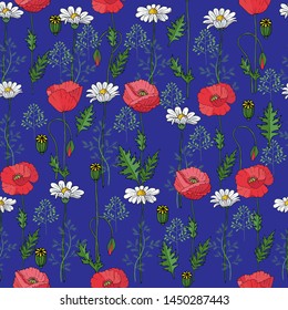 pattern of pink poppy and camomile on the blue background