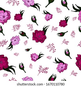 pattern with pink, purple peonies, twigs on a white background,vector illustration with pink, purple peonies for decoration, design of clothing, notebooks, mugs, etudes, albums on a white background