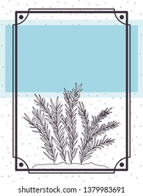 pattern plant with frame isolated icon