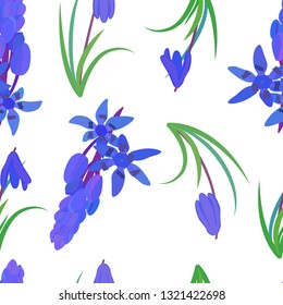 pattern with plant scilla. Siberian Squill (Scilla siberica). spring flower with leaves and stem Isolated vector illustration. 