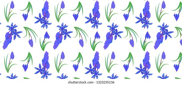 pattern with plant scilla. Siberian Squill (Scilla siberica). spring flower with leaves and stem Isolated vector illustration. 