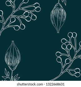 pattern plants and herbs isolated icon