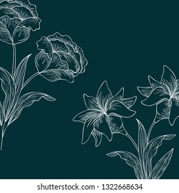pattern plants and herbs isolated icon