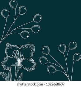pattern plants and herbs isolated icon