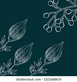 pattern plants and herbs isolated icon