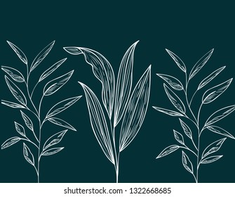 pattern plants and herbs isolated icon