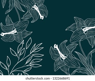 pattern plants and herbs isolated icon