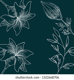 pattern plants and herbs isolated icon