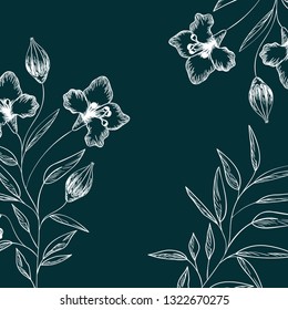 pattern plants and herbs isolated icon