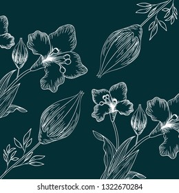 pattern plants and herbs isolated icon