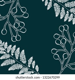 pattern plants and herbs isolated icon
