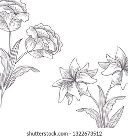 pattern plants and herbs isolated icon