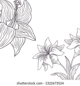 pattern plants and herbs isolated icon